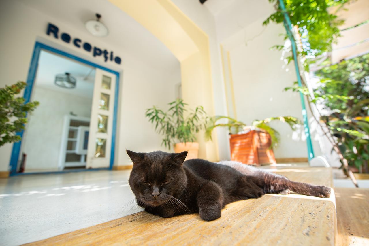 Villa Pontica Năvodari Kültér fotó